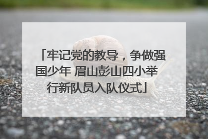牢记党的教导，争做强国少年 眉山彭山四小举行新队员入队仪式