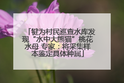 犍为村民巡查水库发现“水中大熊猫”桃花水母 专家：将采集样本鉴定具体种属