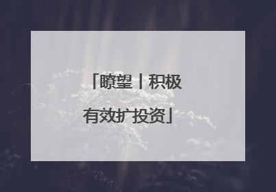 瞭望丨积极有效扩投资