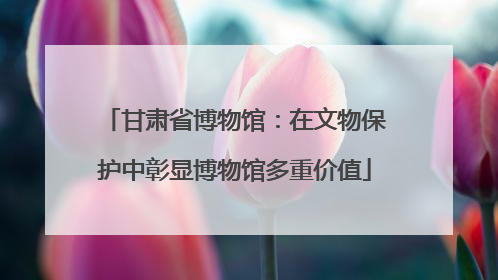 甘肃省博物馆：在文物保护中彰显博物馆多重价值