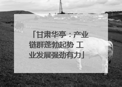 甘肃华亭：产业链群蓬勃起势 工业发展强劲有力