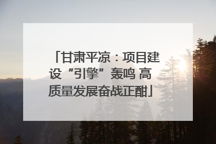 甘肃平凉：项目建设“引擎”轰鸣 高质量发展奋战正酣