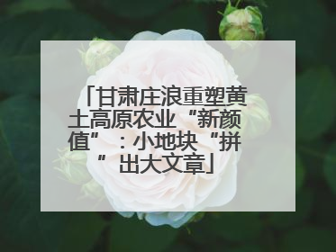 甘肃庄浪重塑黄土高原农业“新颜值”：小地块“拼”出大文章