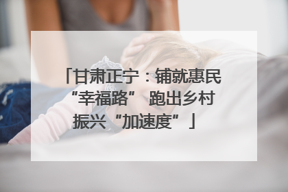 甘肃正宁：铺就惠民“幸福路” 跑出乡村振兴“加速度”