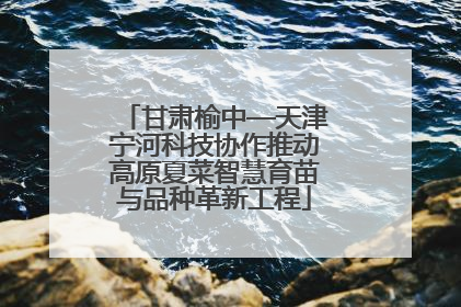 甘肃榆中—天津宁河科技协作推动高原夏菜智慧育苗与品种革新工程