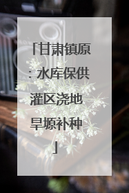 甘肃镇原：水库保供 灌区浇地 旱塬补种