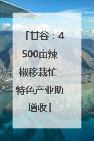 甘谷：4500亩辣椒移栽忙 特色产业助增收