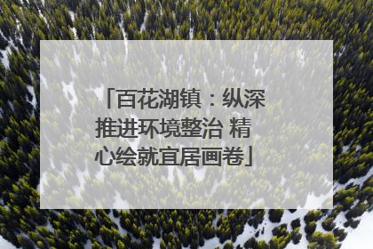 百花湖镇：纵深推进环境整治 精心绘就宜居画卷