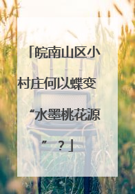 皖南山区小村庄何以蝶变“水墨桃花源”？
