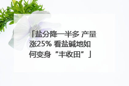 盐分降一半多 产量涨25% 看盐碱地如何变身“丰收田”