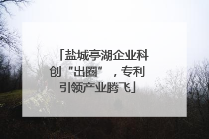 盐城亭湖企业科创“出圈”，专利引领产业腾飞