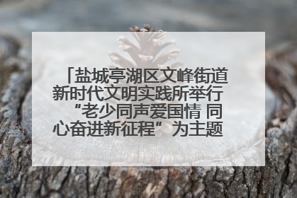 盐城亭湖区文峰街道新时代文明实践所举行“老少同声爱国情 同心奋进新征程”为主题的红色文化活动
