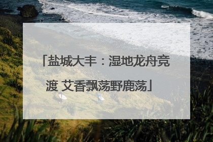 盐城大丰：湿地龙舟竞渡 艾香飘荡野鹿荡