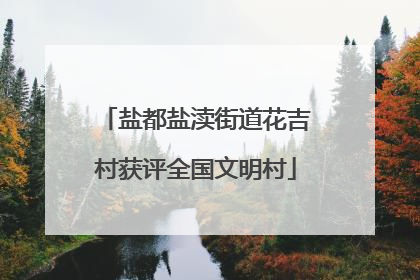 盐都盐渎街道花吉村获评全国文明村