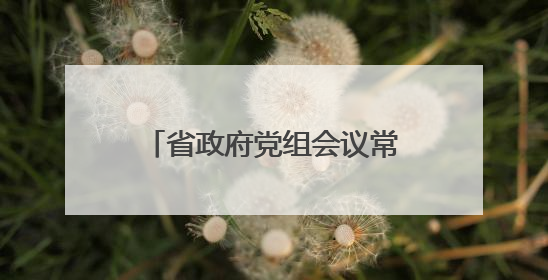 省政府党组会议常务会议强调：毫不松懈巩固拓展脱贫攻坚成果 厉行节约反对浪费弘扬优良作风