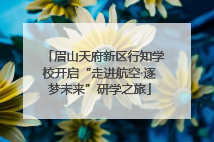 眉山天府新区行知学校开启“走进航空·逐梦未来”研学之旅