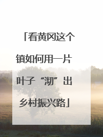 看黄冈这个镇如何用一片叶子“沏”出乡村振兴路