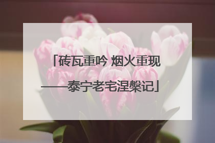 砖瓦重吟 烟火重现——泰宁老宅涅槃记