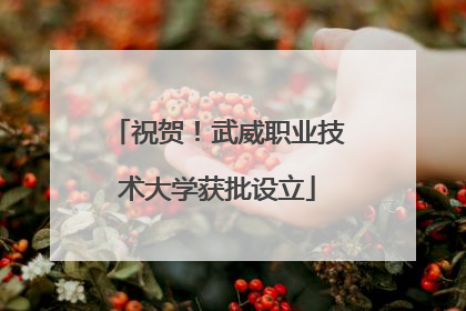 祝贺！武威职业技术大学获批设立