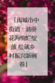 禹城市中街道：油葵花海绚烂绽放 绘就乡村振兴新画卷