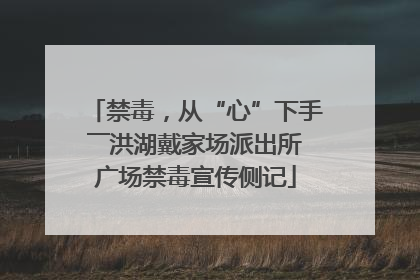 禁毒，从“心”下手――洪湖戴家场派出所广场禁毒宣传侧记