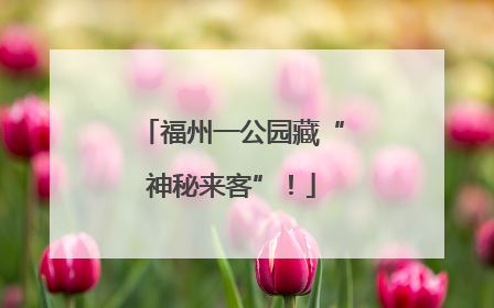 福州一公园藏“神秘来客”！