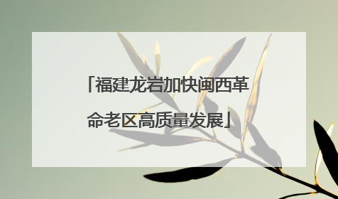 福建龙岩加快闽西革命老区高质量发展