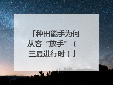 种田能手为何从容“放手”（三夏进行时）