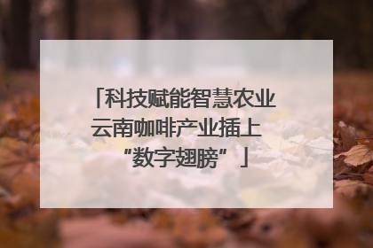 科技赋能智慧农业 云南咖啡产业插上“数字翅膀”