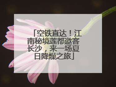 空铁直达！江南秘境莲都邀客长沙，来一场夏日降燥之旅