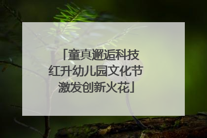 童真邂逅科技 红升幼儿园文化节激发创新火花