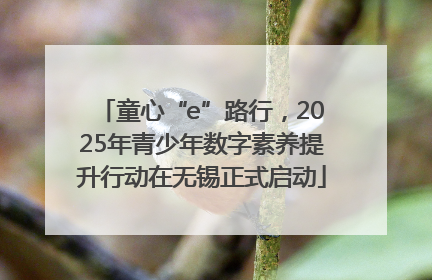 童心“e”路行，2025年青少年数字素养提升行动在无锡正式启动