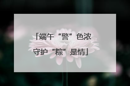 端午“警”色浓 守护“粽”是情