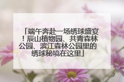 端午奔赴一场绣球盛宴！辰山植物园、共青森林公园、滨江森林公园里的绣球秘境在这里