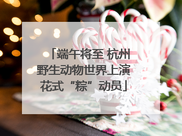 端午将至 杭州野生动物世界上演花式“粽”动员