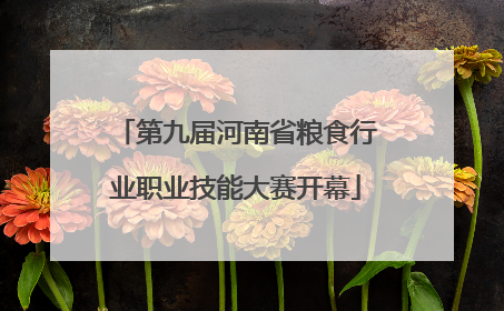 第九届河南省粮食行业职业技能大赛开幕