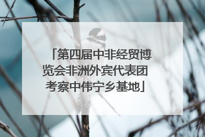 第四届中非经贸博览会非洲外宾代表团考察中伟宁乡基地
