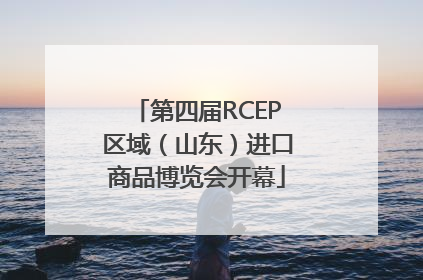 第四届RCEP区域（山东）进口商品博览会开幕
