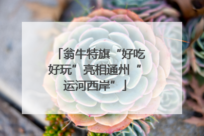 翁牛特旗“好吃好玩”亮相通州“运河西岸”