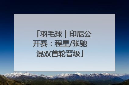 羽毛球｜印尼公开赛：程星/张驰混双首轮晋级