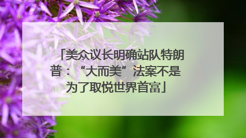 美众议长明确站队特朗普：“大而美”法案不是为了取悦世界首富