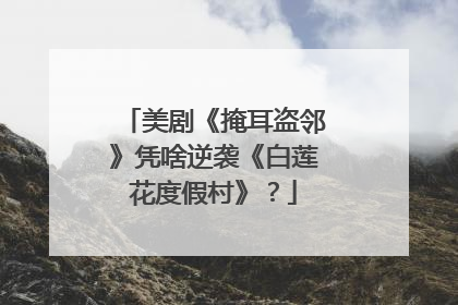 美剧《掩耳盗邻》凭啥逆袭《白莲花度假村》？