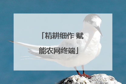 精耕细作 赋能农网终端