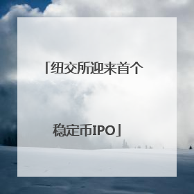 纽交所迎来首个稳定币IPO