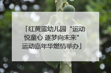 红黄蓝幼儿园“运动悦童心 逐梦向未来”运动嘉年华燃情举办