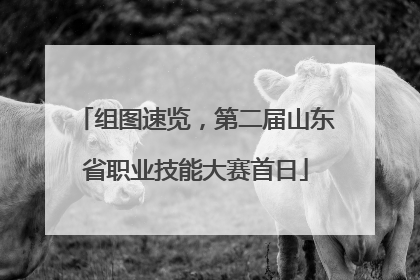 组图速览，第二届山东省职业技能大赛首日
