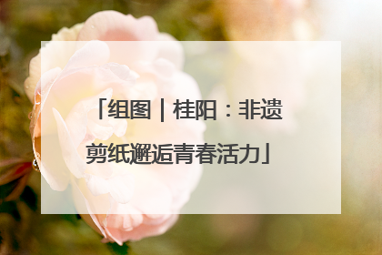 组图｜桂阳：非遗剪纸邂逅青春活力