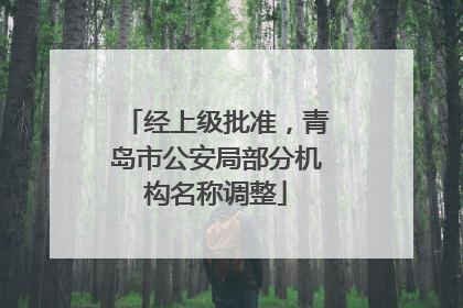 经上级批准，青岛市公安局部分机构名称调整