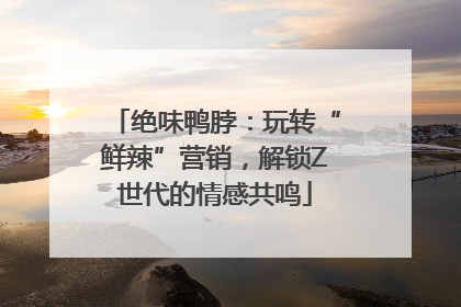 绝味鸭脖：玩转“鲜辣”营销，解锁Z世代的情感共鸣