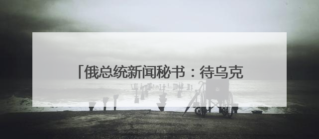 俄总统新闻秘书：待乌克兰回应备忘录草案 俄美乌领导人近期会晤可能性小